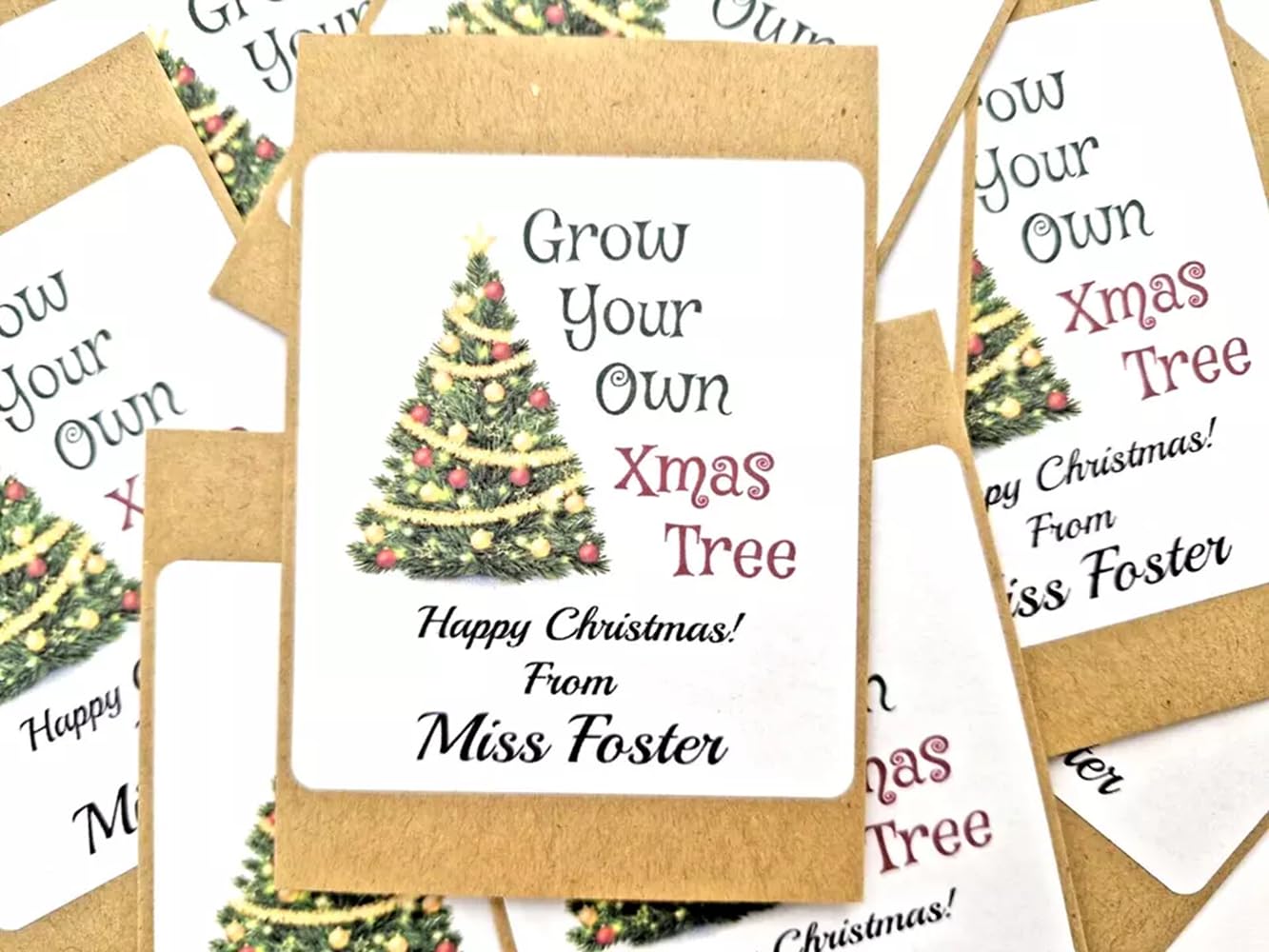 Personalised Teacher to Pupil Gift Grow Your Own Christmas Tree Seed Packs (48)