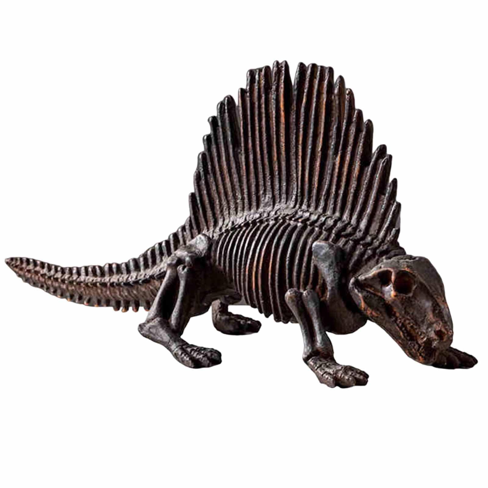 Model szkieletu dinozaura Skamieniałości Ornament Rzeźba Żywica Craft Replika do domu Bar Decor Collection Figurka Statua Nauczanie Rekwizyt