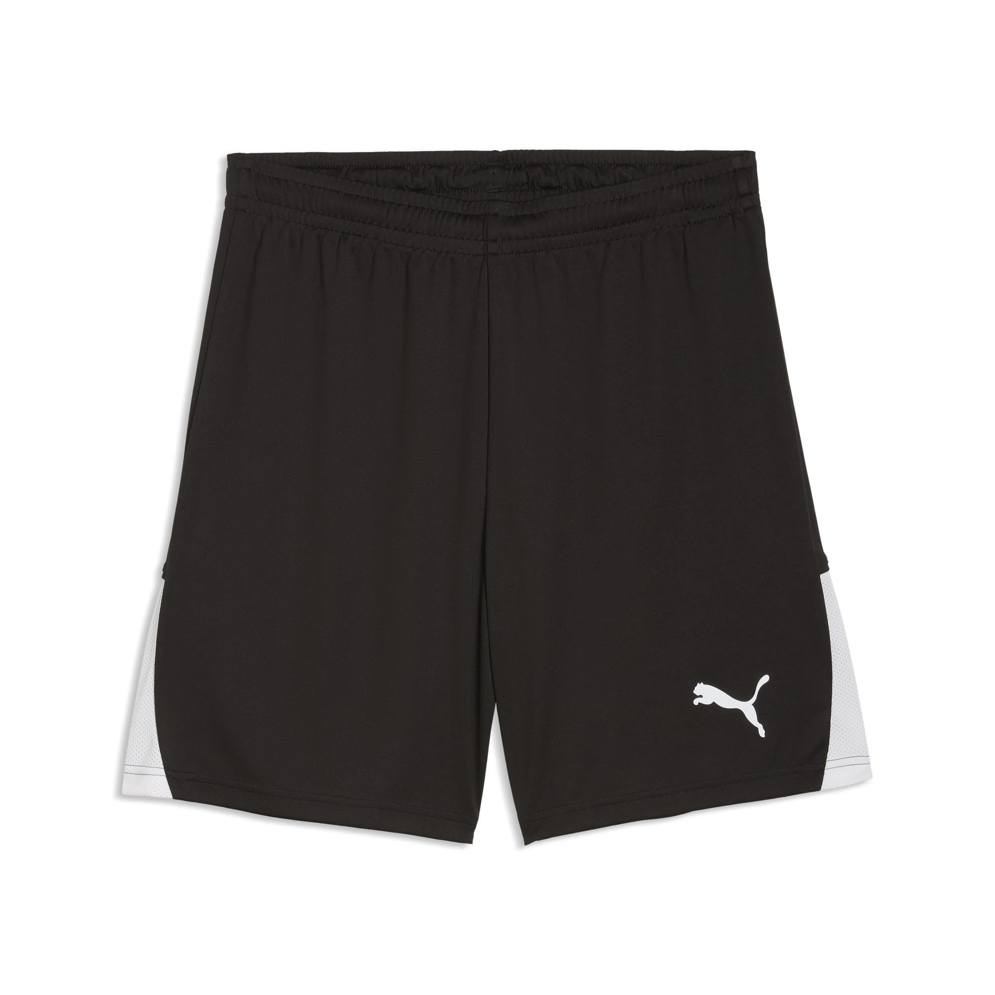 PUMA teamLIGA26 Shorts
