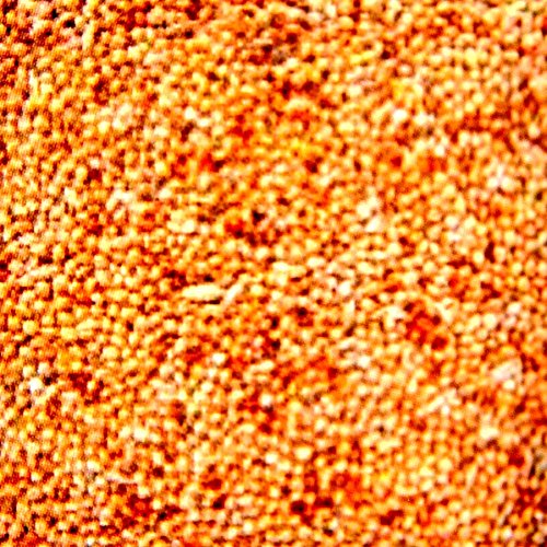 25 kg Japanhirse lose, Vogelfutter, Zusatzfutter, Kanarienvögel