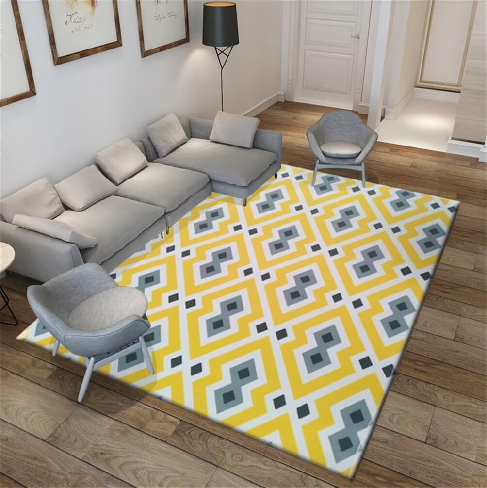 Tapis de salon durable 200x300 cm à poil ras et facile à nettoyer