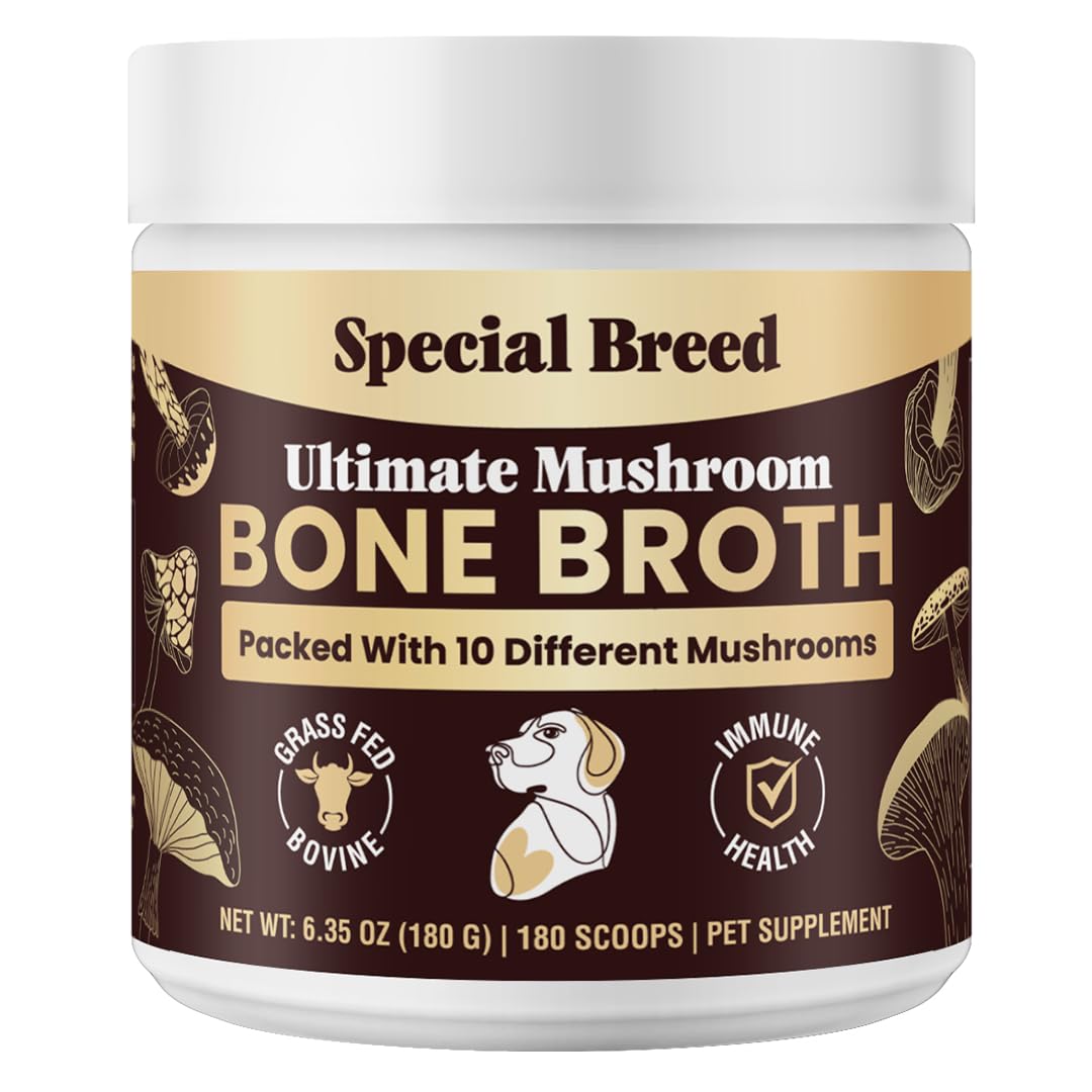 Beef Bone Broth for Dogs - High Protein Powder with Ten Organic Mushrooms & Collagen - Immune, Joint, Digestion & Cognitive Support - Tasty Dog Food