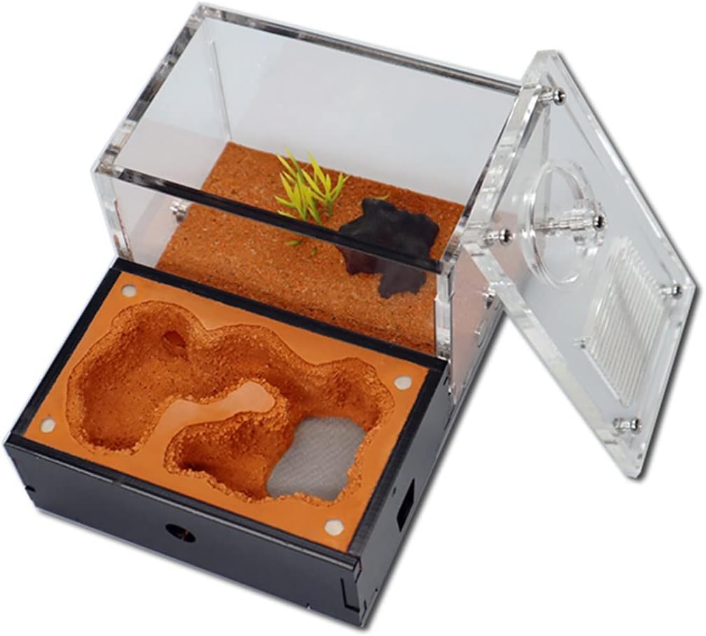 Ant Farm Ant Farm Yellow Soil Ant House Queen Breeding Area Ant Nest Anthill Castle Insect Box Formicarium to Observe Live Ant Habitat for Boys & Girls