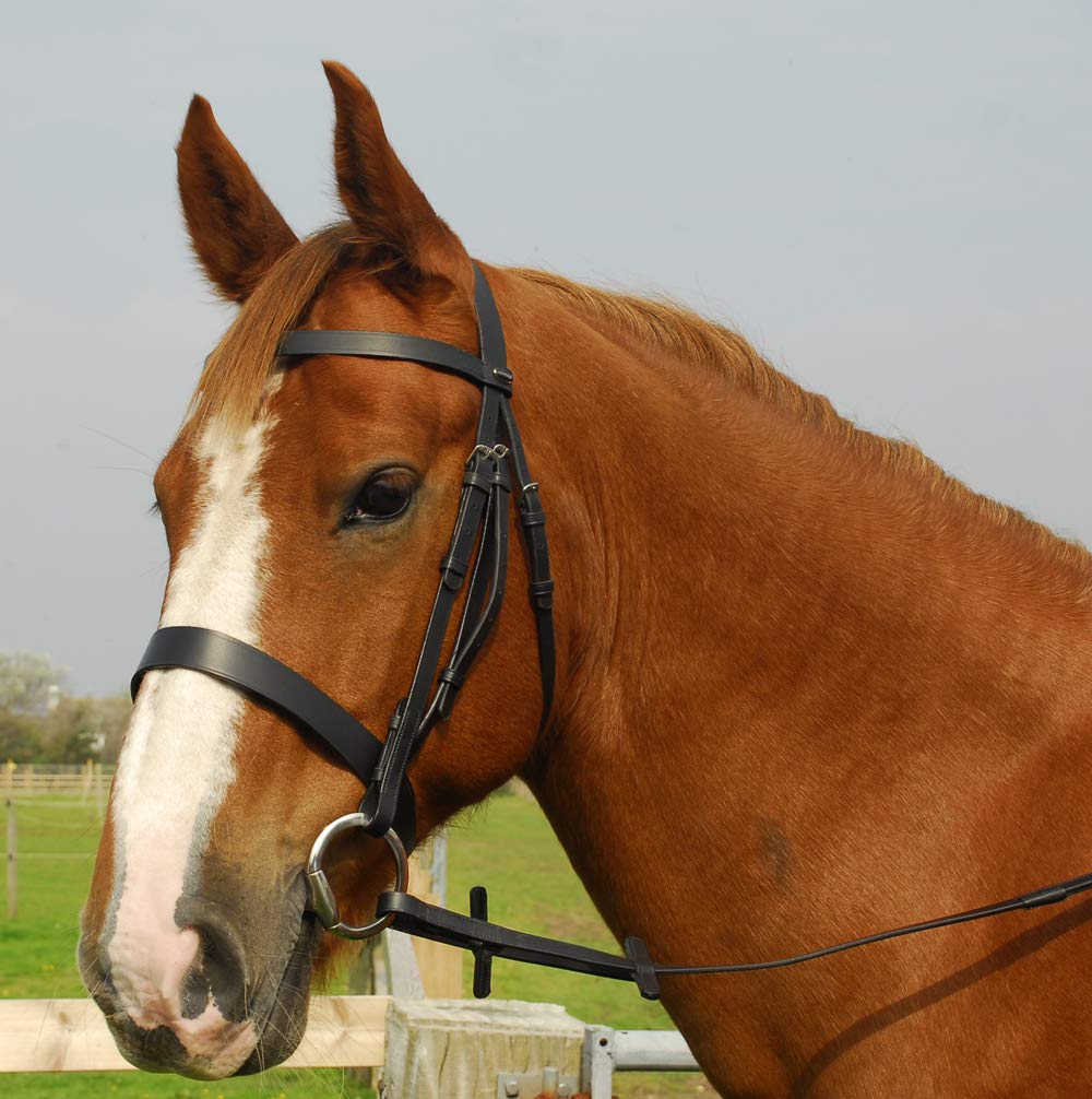 SnowhillHeritage English Leather Hunter Bridle, Wide Cavesson Noseband. Shetland, Havana