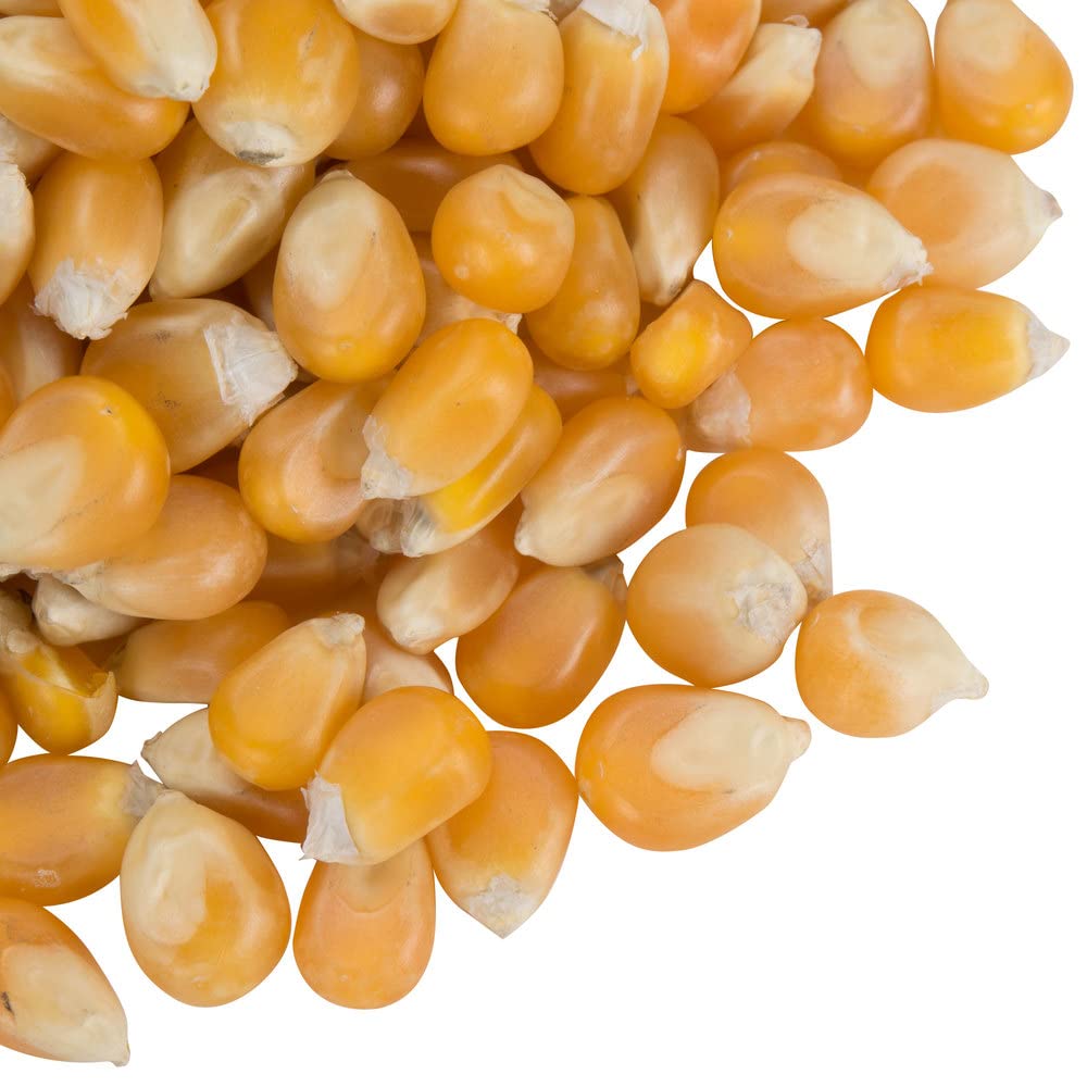 GROCERY ON THE GO POPCORN KERNELS, UNPOPPED POPCORN SEEDS 500GM