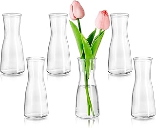 Glasseam Small Vases for Table Decoration, Decorative Vase Glass Clear Flower Vase, Modern Glass Vase, Small 6 Pieces, Minimalist Flower Vases Set for Living Room, Wedding, Party, Dining Table,
