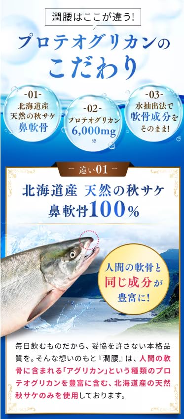 潤腰　120粒 Amazon | 潤腰 じゅんよう プロテオグリカン 120粒（約1ヶ月分