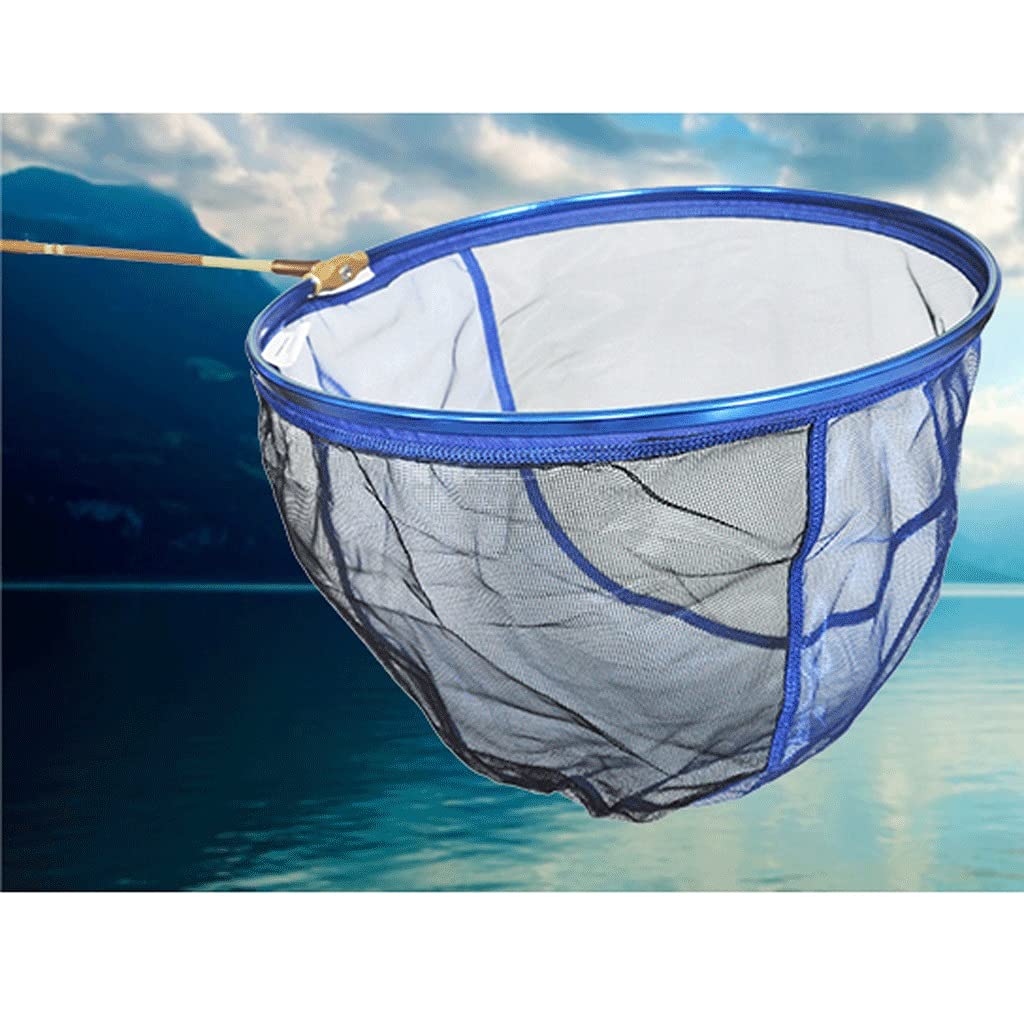 Rete da pesca Pesca Landing Net 35X35X26CM Telescopico Rete da Pesca per Carpa Trota Pesca In Lega di Alluminio Dip Net Net Net Fish Net (Colore: Blu, Dimensioni: 35X35X26cm)
