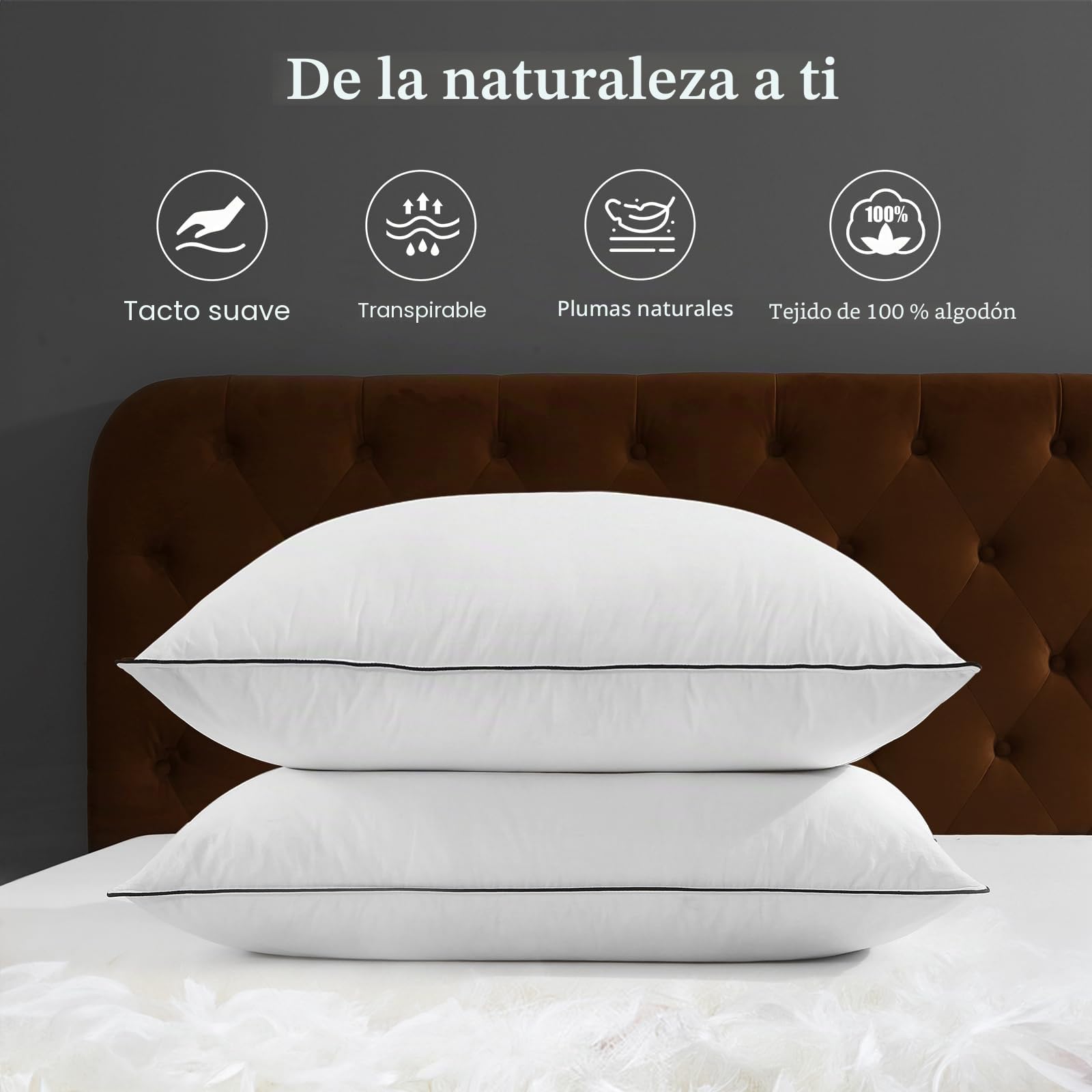 DWR Almohadas de Plumas y Plumón de Ganso,Paquete de 2 Lujosa Plumón de Plumas Orgánico Almohadas, Diseño de 3 Habitaciones, Relleno de Pluma de Ganso, Lavable a Máquina,Blanco 40x80cm