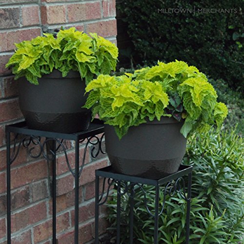 image for Milltown Merchants™ Plant Stands - Set of 3 Metal Plant Stands - Ind