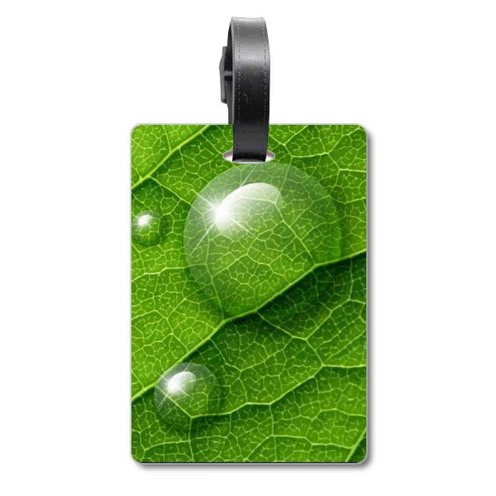Étiquette valise motif végétal vert évite la perte de bagage