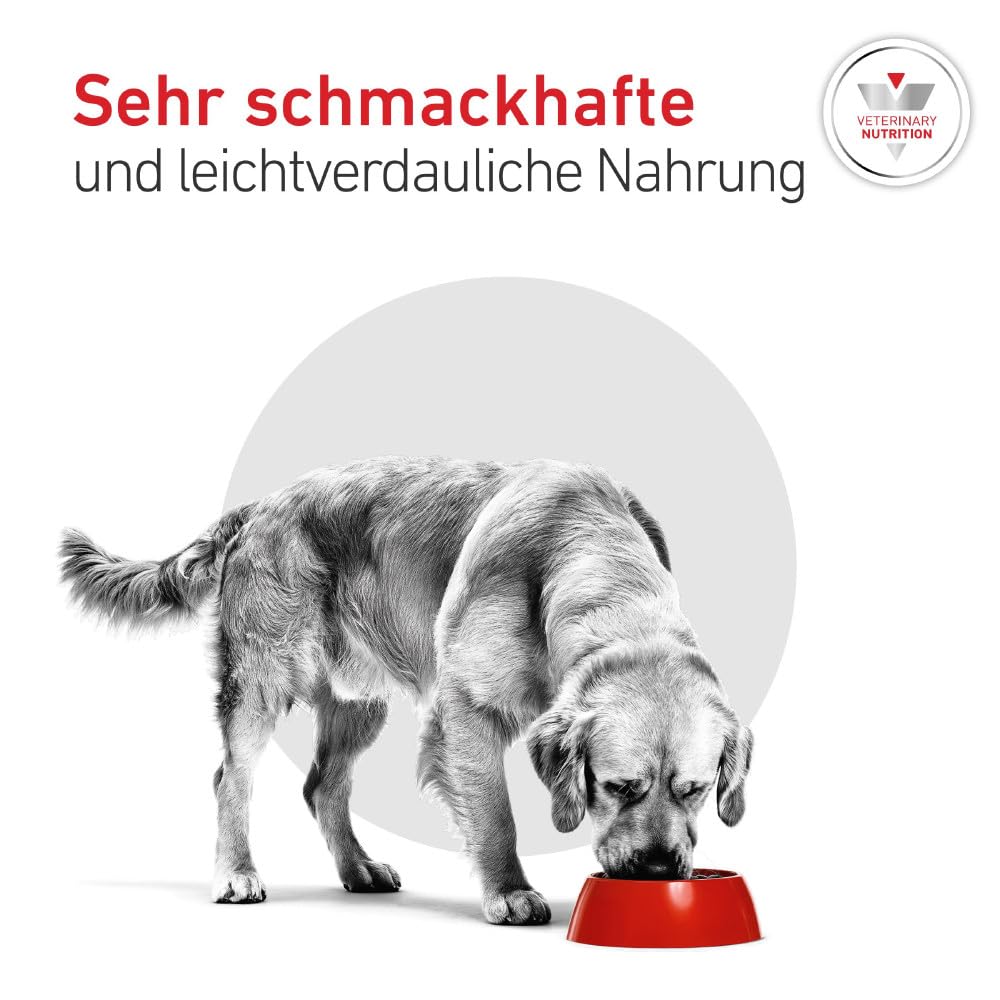 ROYAL CANIN Veterinary Glycobalance Bajo en Carbohidratos Paté | 12 x 410 g | Alimento dietético Completo para Perros | Bajas calorías
