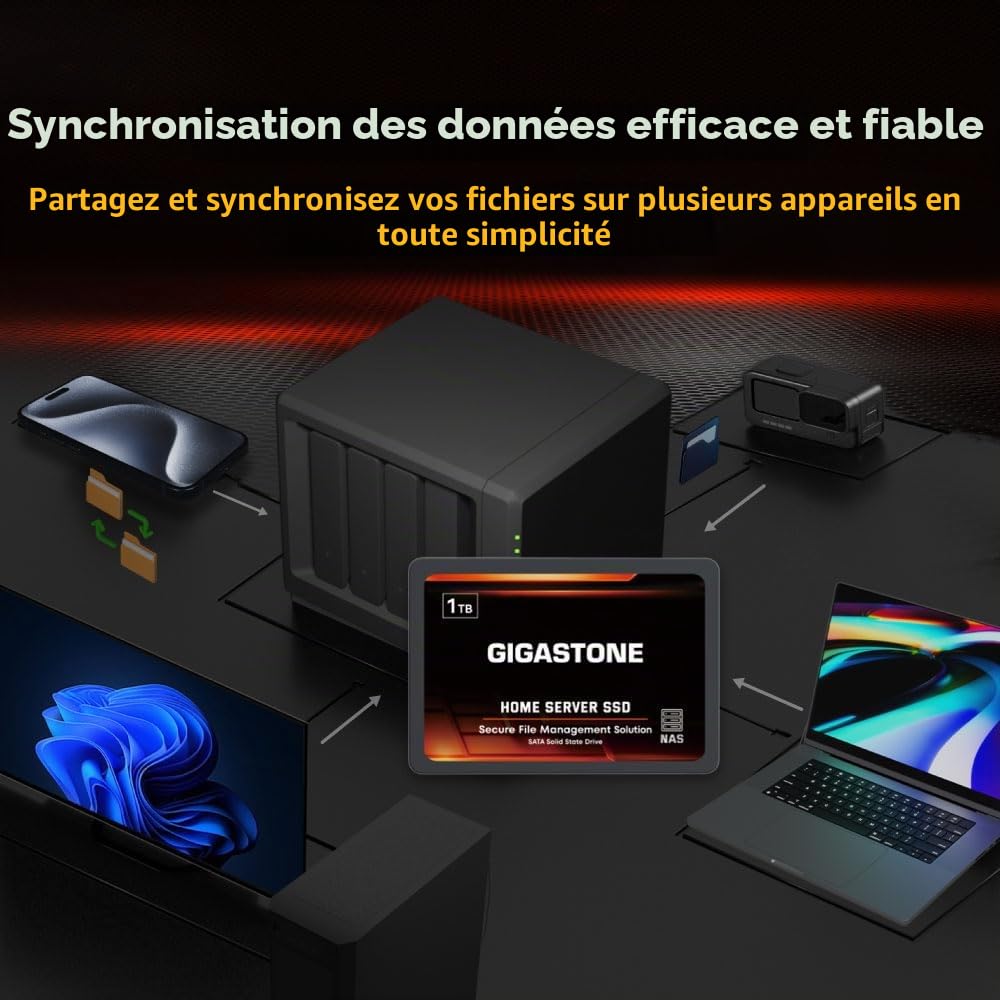 Gigastone Serveur SSD 1To NAS SSD Cache 24h/24 et 7j/7 TLC Haute Endurance Business Secure Personal Cloud Créatif Professionnel Réseau Attaché Stockage Raid 2,5" SATA Disques durs internes SSD
