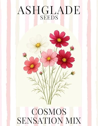 Cosmos Sensation Mixed Flower Seeds, 400 Seeds, Sow: Feb-May