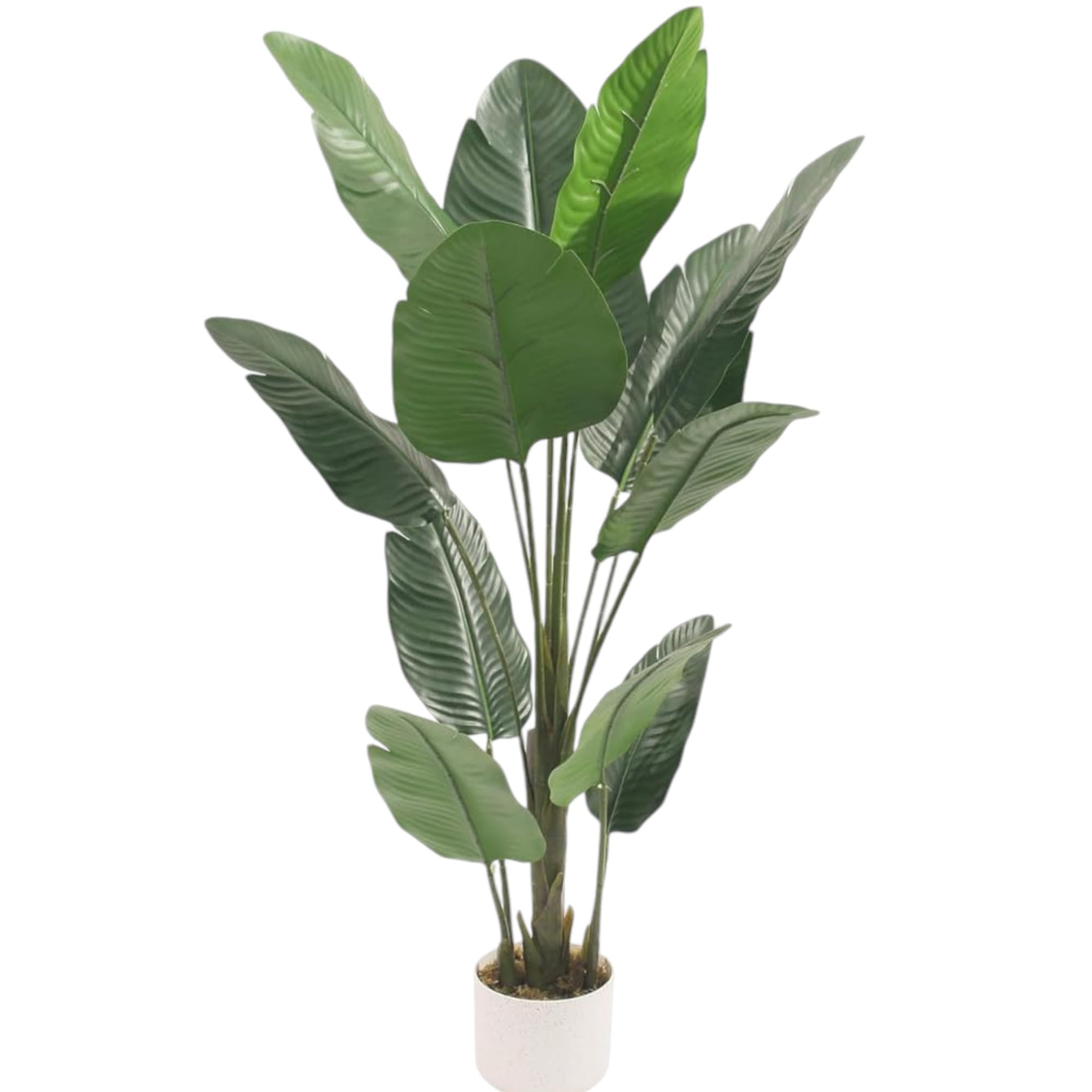 Garden Art Natural Looking Real Touch Artificial Plant with White Pot for Indoor,Home,Office,Living Room Decor |Travellers Palm GAJW3538 (120cm) (B0DHXS46ZR) Amazon Price History, Amazon Price Tracker