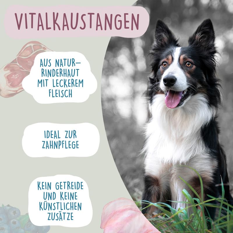Fidelis - Vitalkaustange Huhn mit Hanf und Joghurt – funktionale Zahnpflege Snacks für Hunde 500g-Eimer – Luftgetrocknet aus 100% natürlichen Rohstoffen - Hunde Leckerli als Snack zur Zahnhygiene
