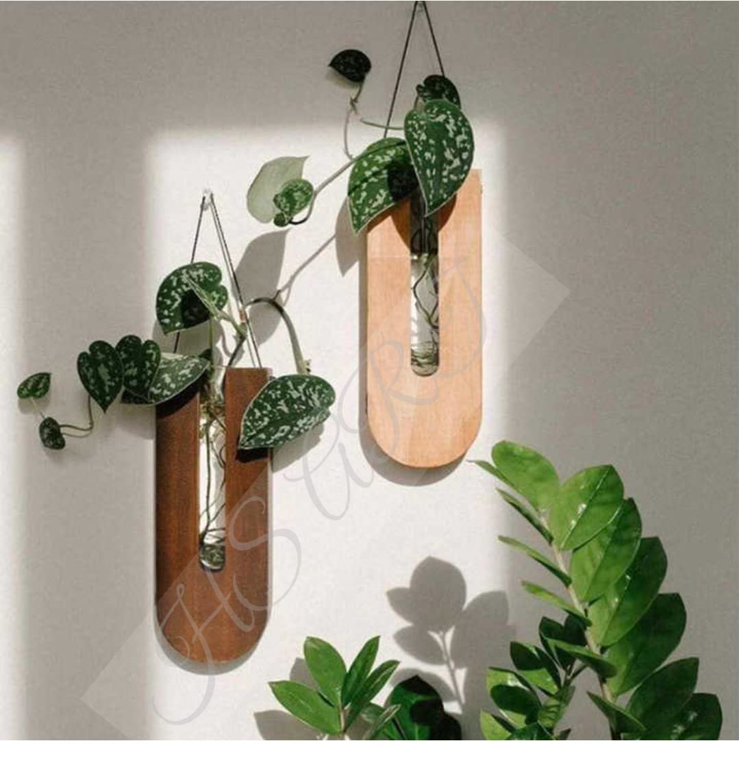 HS ART Wall Hanging Crystal Glass Test Tube Vase in Wooden Stand for Flowers Plants (1) (B0C2JMW9G9) Amazon Price History, Amazon Price Tracker