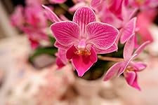 Review Image by Carter Moore Carter Moore