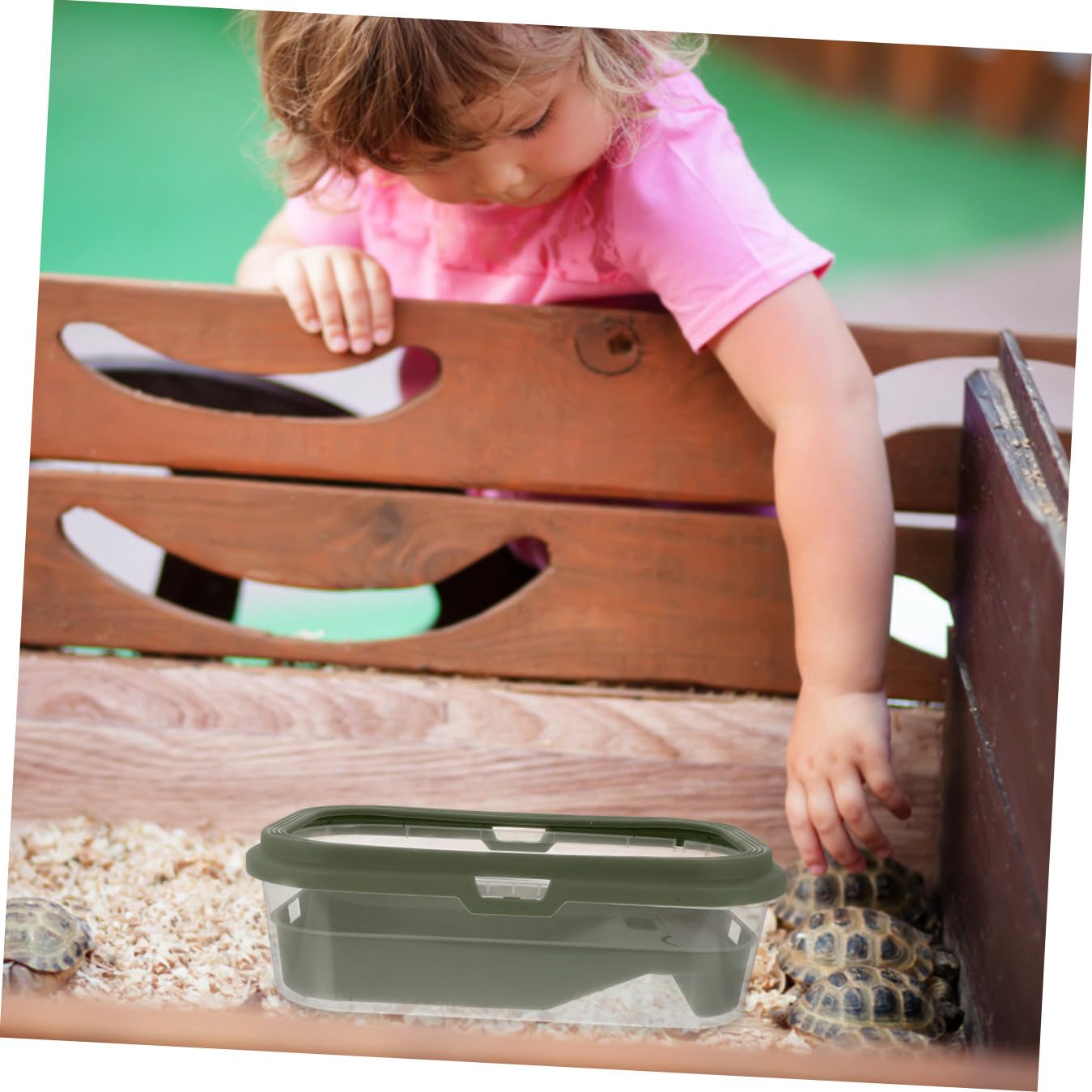 Aquarium pour Tortue en Plastique Vert avec Terrasse et Rampe | Boîte D’élevage, Dispositif de Changement D’eau, Nettoyage Facile, Adapté au Lézard la Tortue