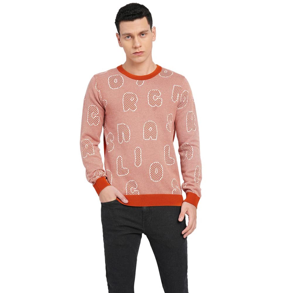 Men Cotton Crew Neck Sweater-image-33