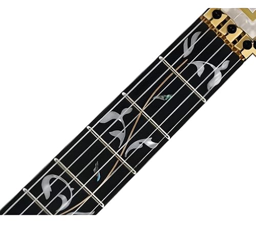 Amazon.com: Ibanez Steve Vai Signature Premium JEM7VP - White