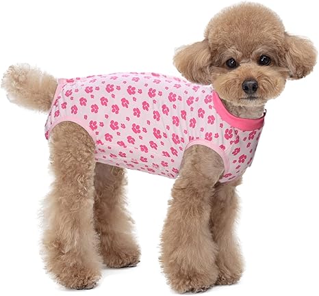 dog bodysuit amazon