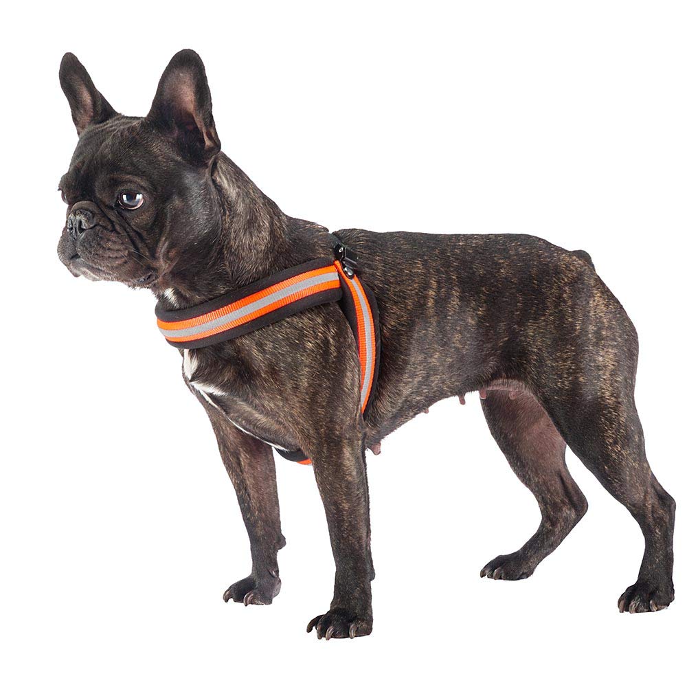 Ferplast Harness for Medium-Sized Dogs AGILA REFLEX 6 Dog Harness with Soft Padding, Quick Release and Attachment System - Image 2