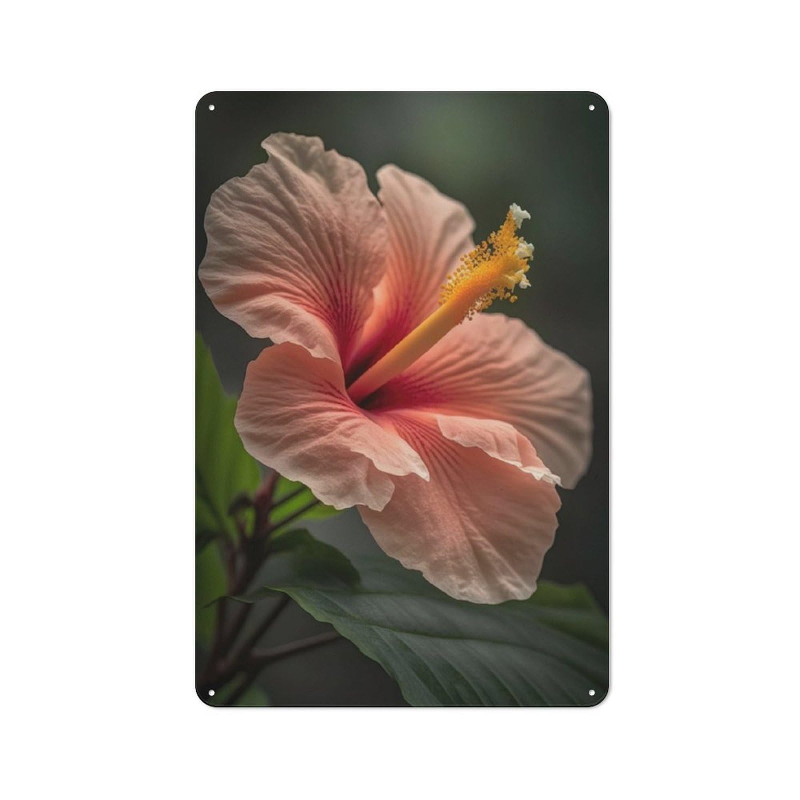 Junmoney Hibiscus Flower Macro Vintage Metal Plaque 30X20cm Featuring For Pub Or Café, Suited To Café Interior Fans