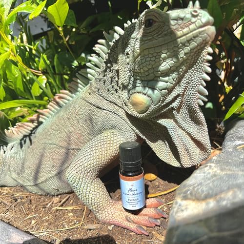 Aceite Esencial de Patchouli Pogostemon cablin 10ml miniatura 5
