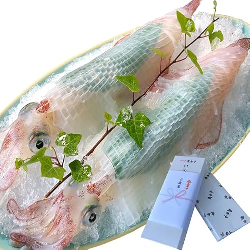 呼子のいか活造り2杯! コリコリ甘い 約200g×2(合計約400g) 刺身 ギフト 冷凍