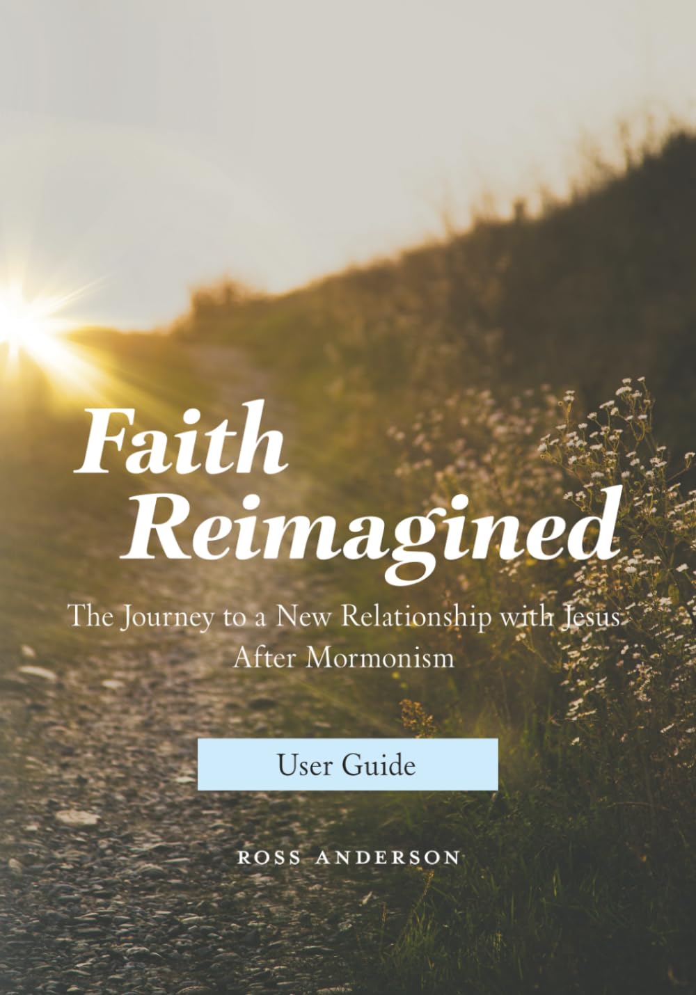 Faith Reimagined (User Guide): The Journey to a New Relationship with Jesus After Mormonism