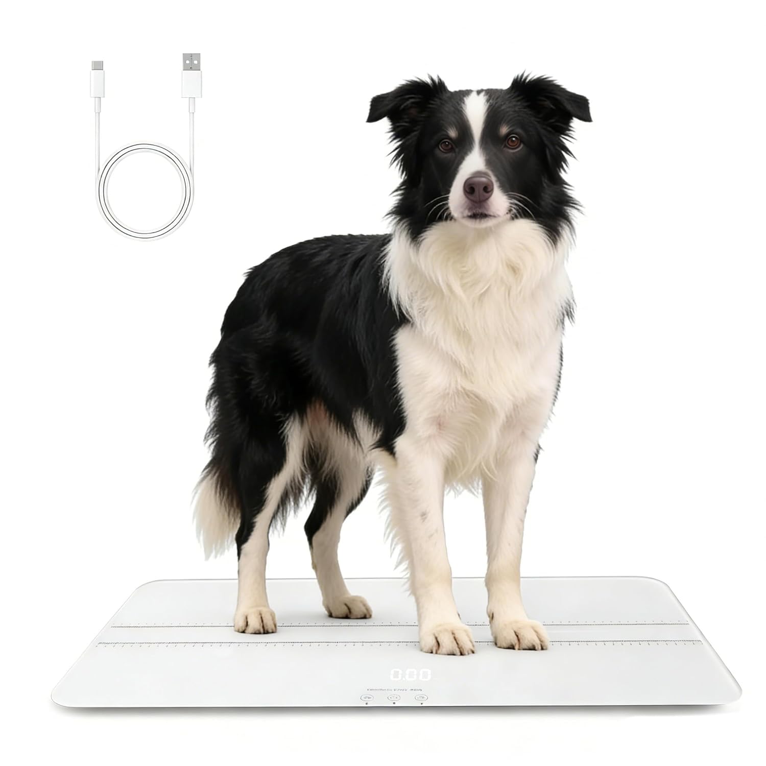 Báscula digital para mascotas para perros y gatos, gran báscula para perros, máx. 220 libras, versión recargable, 3 modos de pesaje libras, kg, st, precisión 10 g, 27,16 x 12,99 pulgadas