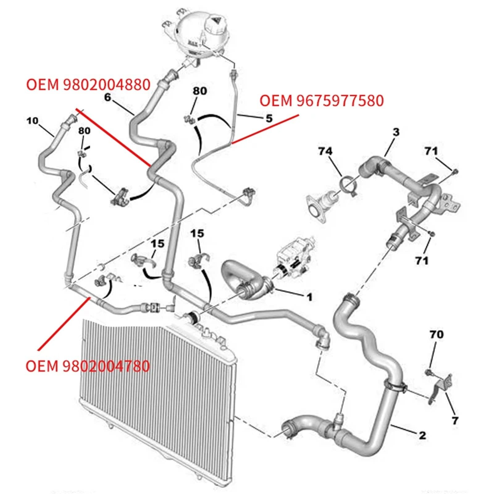 Generico Fascette stringitubo 9675977580 Giunto Tubo Flessibile in Gomma per Serbatoio Acqua Auto per Peugeot 208 301 per Citroen C-Elysee Pezzi di Ricambio(1 Pair Pipe)
