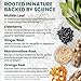 5-in-1 Mullein Drops for Bronchial and Respiratory Support with Mullen Leaf Extract Lung Supplement - Mullein Tincture with Elderberry and Ginger Root, Honey Lemon Flavor (60 Servings, Pack of 2)