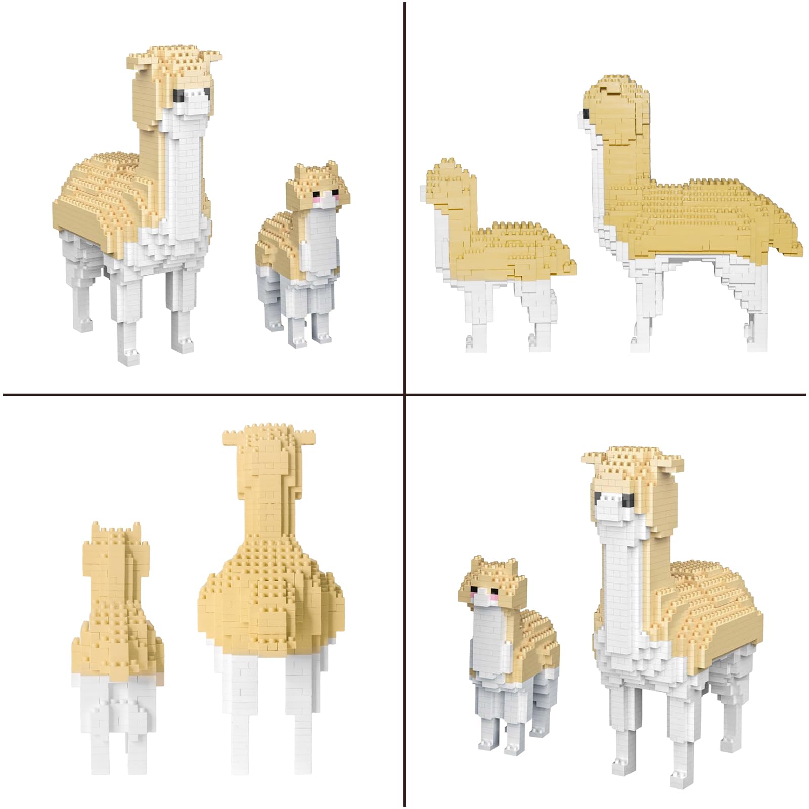 597436_4