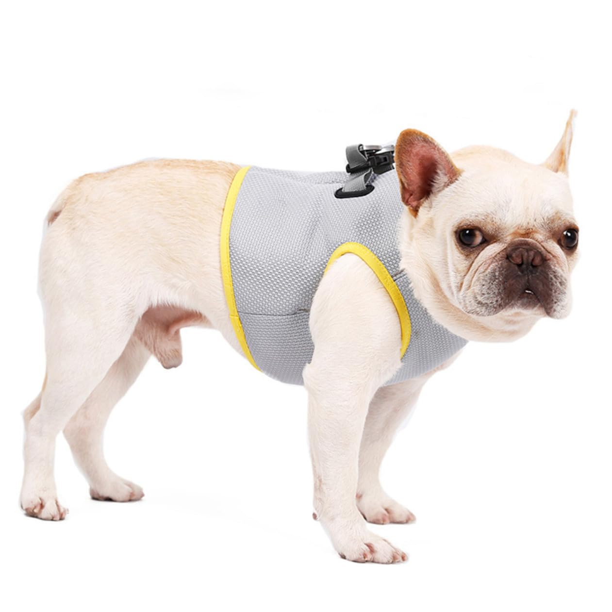 Happyyami Gilet Refroidissant pour Chien XL Aérée Et Respirante pour De Refroidissement pour Chiens Et Chiots Design Pratique pour Activités Plein Air