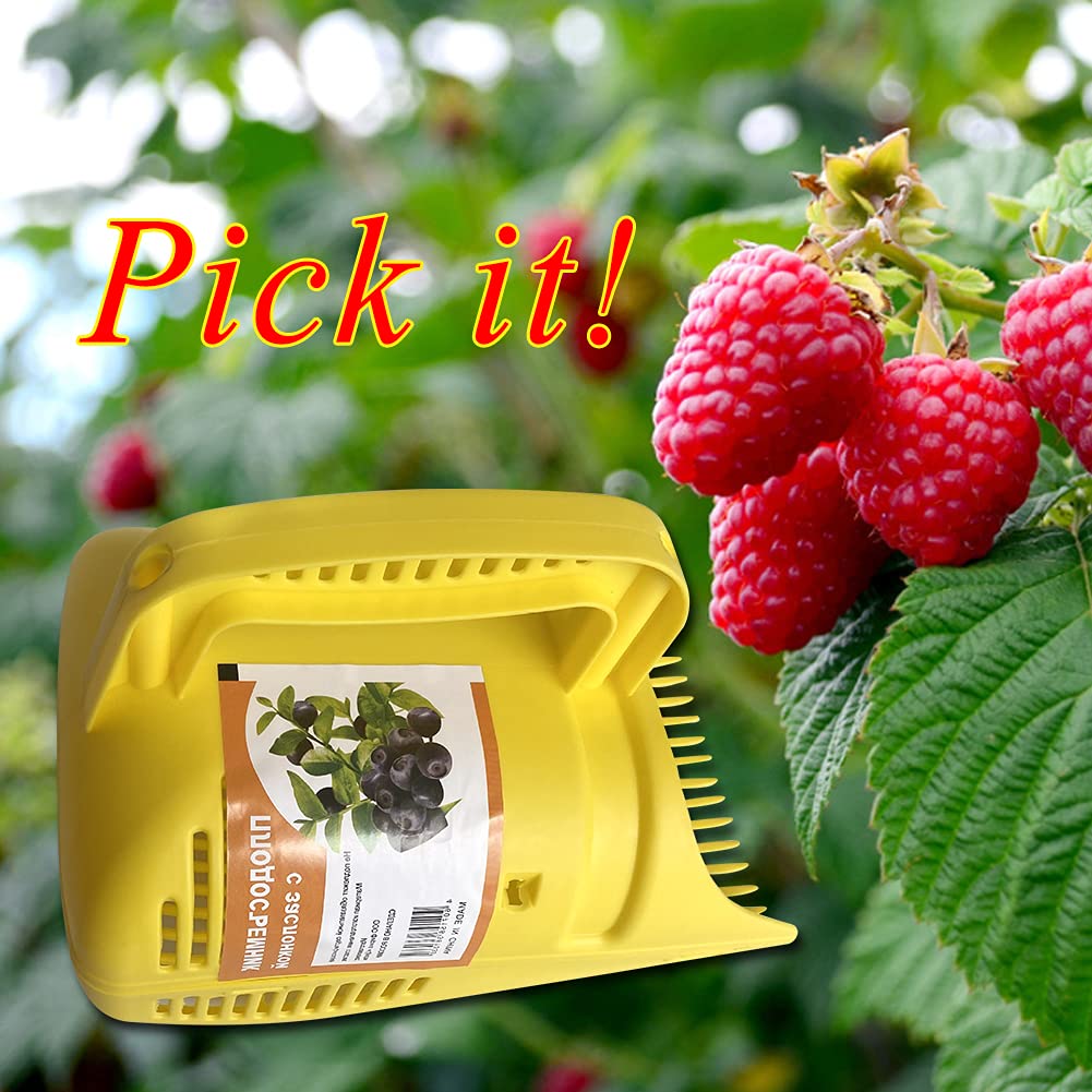 Cueilleur De Baies Avec Poignée - Peigne En Métal, Bord Relevé - Pour Myrtilles, Framboises, Mûres... - Plastique Robuste, Lavable, Léger (330g) - Cueillette Rapide Et Protégée