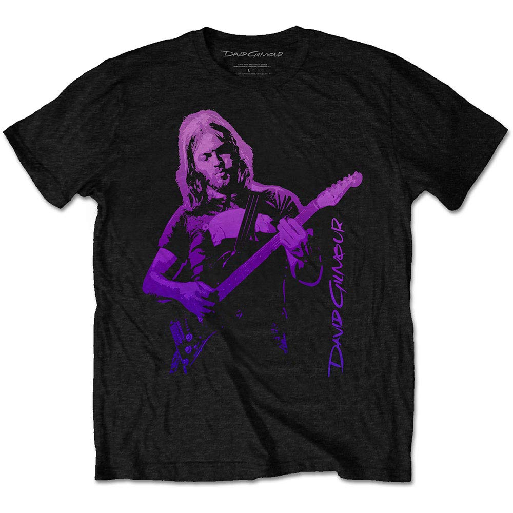 David Gilmour Unisex Tee: Pig Gradient (Medium) Black