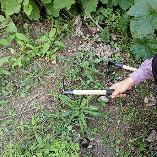 CLAIRLA Hand Mini Garden Hoes Dual Headed Weeding Tool - Carbon Steel Hoe/Tine Cultivator 3 Prongs Combo Garden Tools with Wood Handle (Pick Axes) - Thumbnail 5