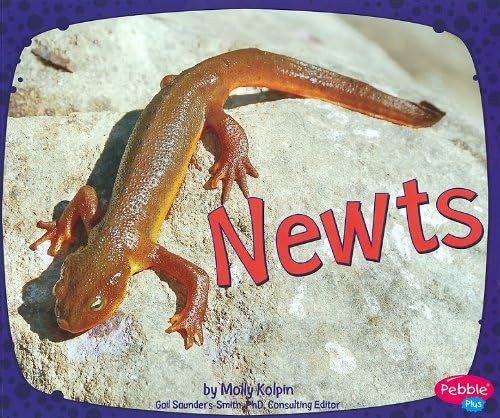 Newts (Amphibians) (Pebble Plus: Amphibians)