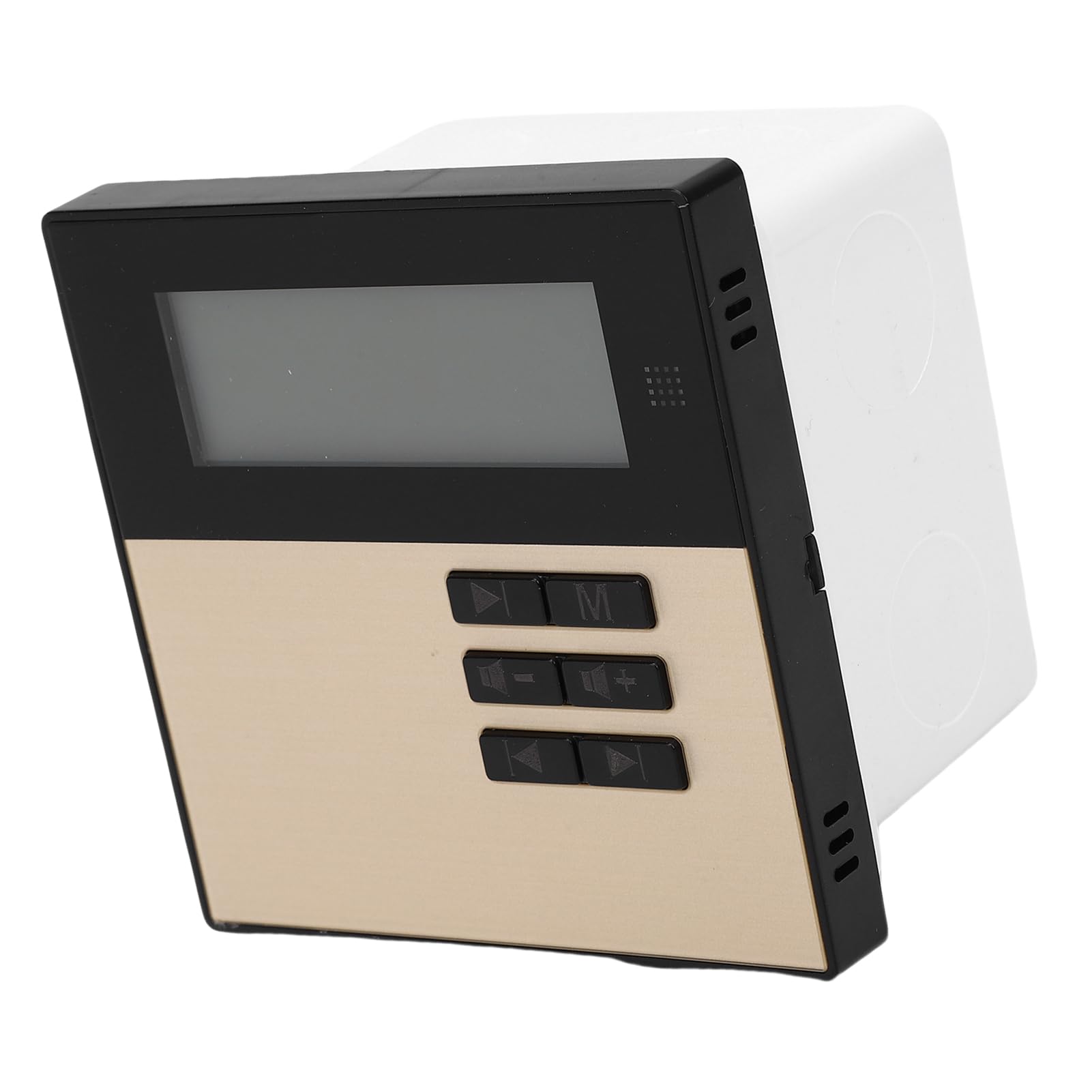 Wall Mount Music Amplifier with LCD Display
