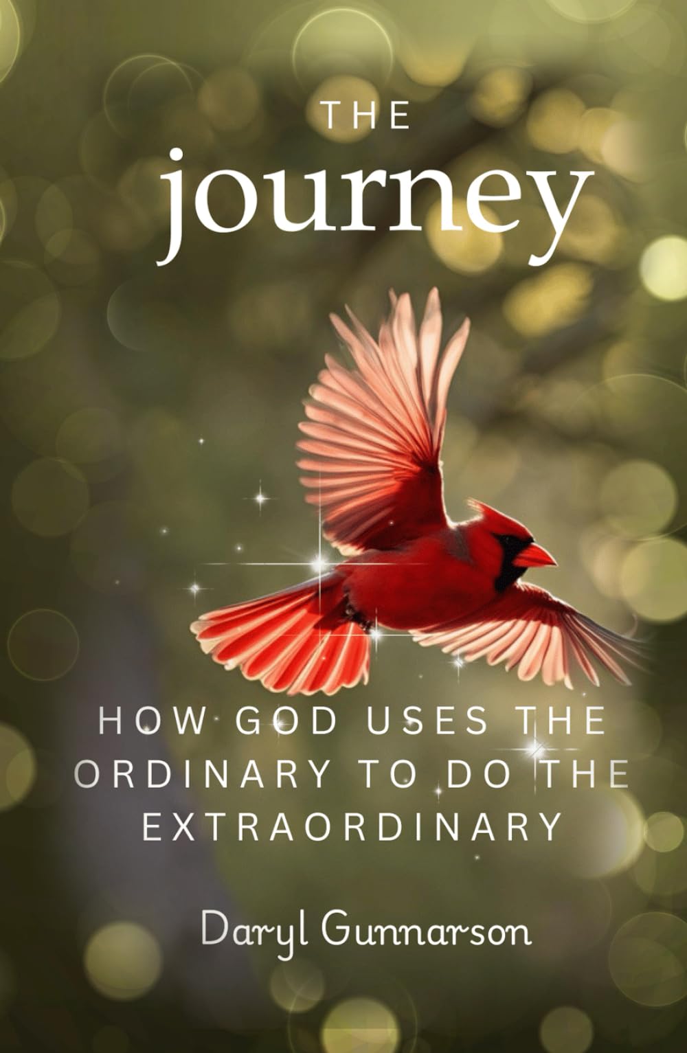 The Journey: How God Uses the Ordinary to do the Extraordinary