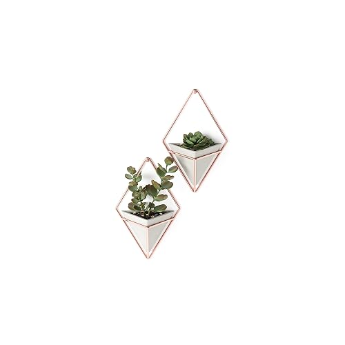 Umbra Trigg Hanging Planter Vase Wall Decor, Set of 2 Pots Containers for Succulents, Cactus, Faux Plants, and More, Small, Grey/Copper - Grey/Copper - Small