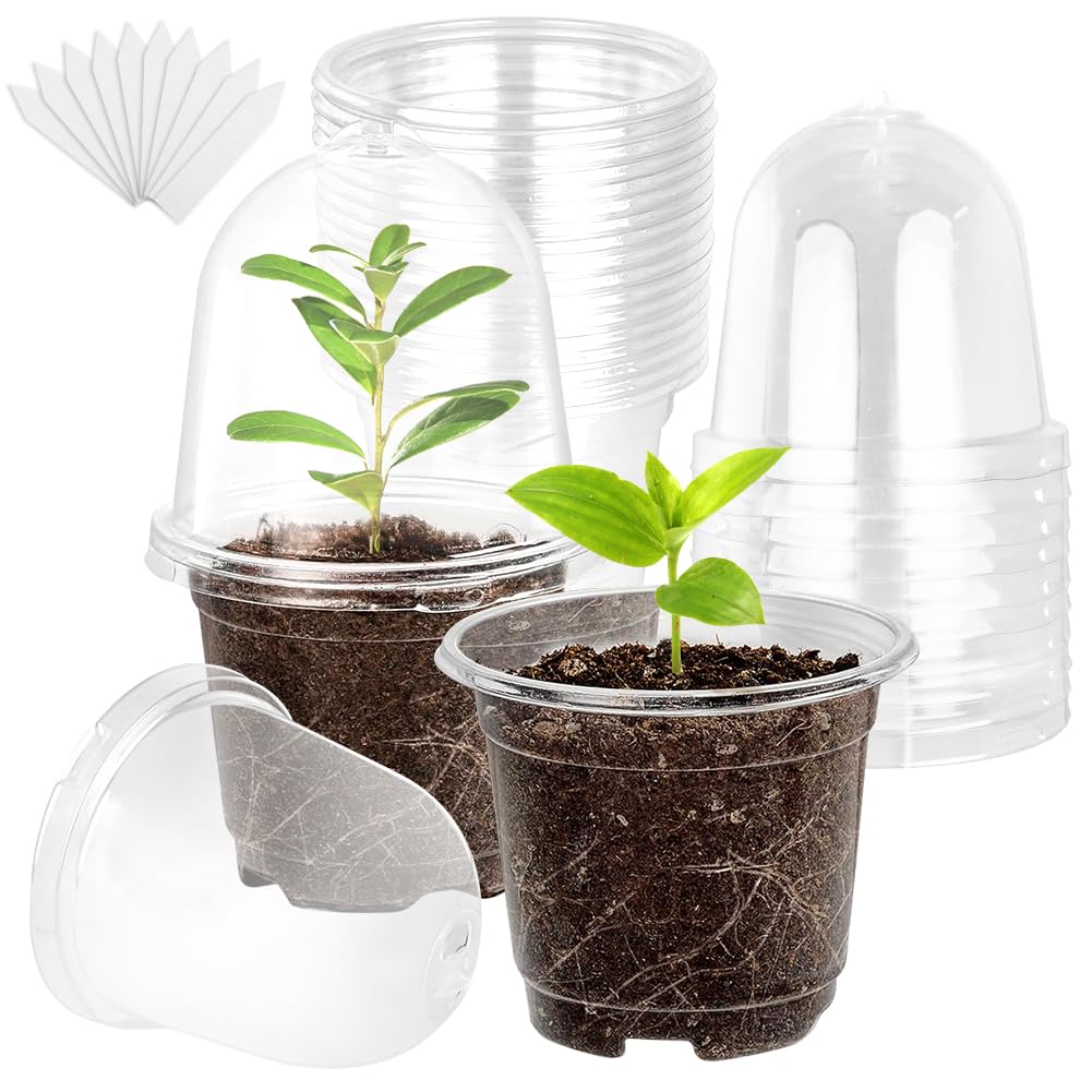 VASI PER PIANTE Trasparenti Fioriere Da Esterno Vaso Trasparente EUR 14,15 - IT