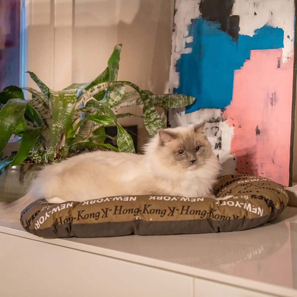 Ferplast - Cuccia per cani e gatti - Cuscino per cani di piccole dimensioni - Materassino per cani - Tappetino per cucce e auto - Morbido letto per cani - Relax, 55 x 36 CM, MARRONE