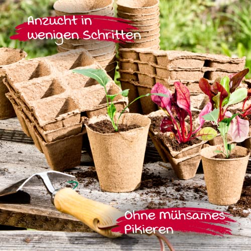 Windhager Anzuchttöpfe 48 Stk. 8 cm Pflanztöpfe Anzucht – Ansicht 3