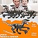 APOBATK Remote Control Dinosaur Toys for Kid - Walking Dinosaur Toys for Boys 5-7，RC Jurassic Velociraptor Toys 8-12，Robot 3-5 with Light Sounds Birthday Gift Toy for Boys Age 3+ Rechargeable Black