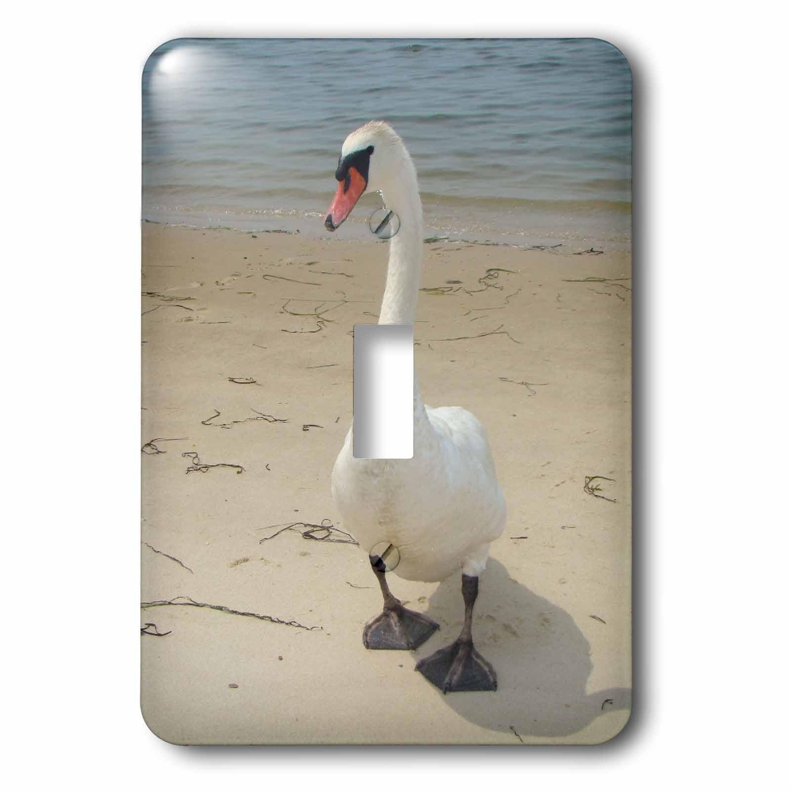 Interrupteur à bascule unique Swan At Beach 3dRose