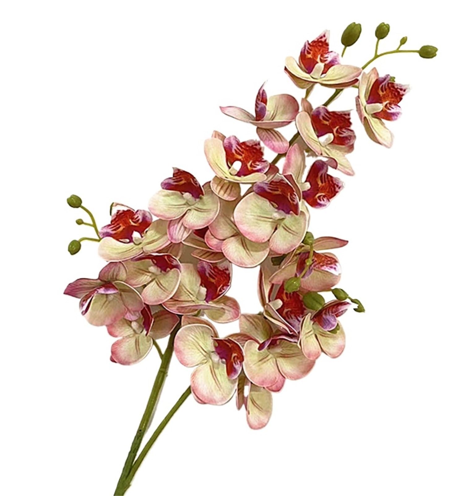 GMGQJST Artificial Orchid One Latex Butterfly Orchid Flowers