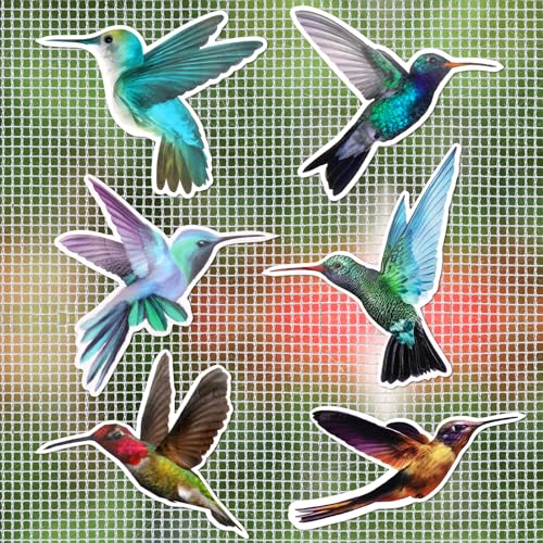 MWOOT 12 Stücke Fliegengitter Magnete Screen Door Dekorative,Kolibris Magnetische Decals,Magnet für Fliegengitter,Dekora...